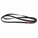 Purchase Top-Quality Serpentine Belt by MOTORCRAFT - JK6-1029A pa1