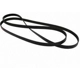 Purchase Top-Quality Serpentine Belt by MOTORCRAFT - JK6-1029A pa6