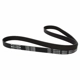 Purchase Top-Quality Serpentine Belt by MOTORCRAFT - JK6-557 pa2