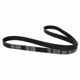 Purchase Top-Quality Serpentine Belt by MOTORCRAFT - JK6-557 pa3