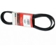 Purchase Top-Quality Serpentine Belt by MOTORCRAFT - JK6-674 pa6