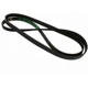 Purchase Top-Quality Serpentine Belt by MOTORCRAFT - JK6-826AB pa5