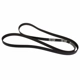 Purchase Top-Quality Serpentine Belt by MOTORCRAFT - JK6-867B pa1