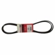 Purchase Top-Quality Serpentine Belt by MOTORCRAFT - JK6-878 pa2