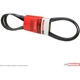 Purchase Top-Quality Serpentine Belt by MOTORCRAFT - JK6-882A pa3