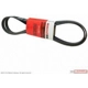Purchase Top-Quality Serpentine Belt by MOTORCRAFT - JK6-882A pa4