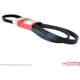 Purchase Top-Quality Serpentine Belt by MOTORCRAFT - JK6-882AB pa1