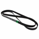 Purchase Top-Quality Serpentine Belt by MOTORCRAFT - JK6-889A pa5