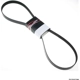 Purchase Top-Quality Serpentine Belt by ROAD MAX - 5K440AP pa1