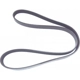 Purchase Top-Quality Serpentine Belt by ROAD MAX - 5K486AP pa1