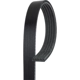 Purchase Top-Quality ROAD MAX - 5K551AP - Belt pa3
