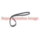 Purchase Top-Quality Serpentine Belt by ROAD MAX - 5K658AP pa1