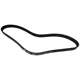 Purchase Top-Quality SKP - SK060393 - Serpentine Belt pa2