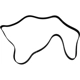 Purchase Top-Quality SKP - SK070975 - Serpentine Belt pa1