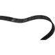 Purchase Top-Quality SKP - SK070975 - Serpentine Belt pa2