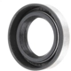 Purchase Top-Quality FAG - SS2125 - Bearings Transmission Input Shaft Seals pa2