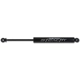 Purchase Top-Quality FABTECH - FTS6331 - Shock Absorber pa2