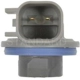 Purchase Top-Quality Side Marker Light Socket by BLUE STREAK (HYGRADE MOTOR) - S2290 pa3