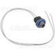 Purchase Top-Quality Side Marker Light Socket by BLUE STREAK (HYGRADE MOTOR) - S789 pa19