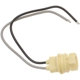 Purchase Top-Quality BWD AUTOMOTIVE - PT85 - Electrical Socket pa1