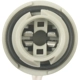 Purchase Top-Quality STANDARD - PRO SERIES - S1724 - Electrical Socket pa5