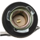 Purchase Top-Quality STANDARD - PRO SERIES - S501 - Electrical Socket pa6