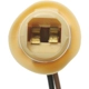 Purchase Top-Quality STANDARD - PRO SERIES - S97 - Electrical Socket pa6