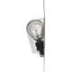 Purchase Top-Quality PHILIPS - 3156LLB2 - Miniatures LongerLife Bulbs pa4