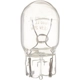 Purchase Top-Quality PHILIPS - 7440LLCP - Back Up / Reverse Lamp Bulb pa2