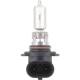 Purchase Top-Quality PHILIPS - 9005C1 - Daytime Running Light Bulb pa6