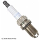 Purchase Top-Quality Spark Plug by BECK/ARNLEY - Z129 pa9