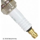 Purchase Top-Quality Spark Plug by BECK/ARNLEY - Z45 pa7