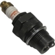 Purchase Top-Quality CHAMPION SPARK PLUG - 429 - Spark Plug pa3