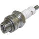Purchase Top-Quality Spark Plug by CROWN AUTOMOTIVE JEEP REPLACEMENT - 4339491 pa1