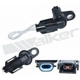 Purchase Top-Quality Speed Sensor by WALKER PRODUCTS - 240-91031 pa1