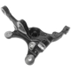 Purchase Top-Quality SKP - SK698225 - Steering Knuckle pa7