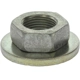 Purchase Top-Quality Spindle Nut by CENTRIC PARTS - 124.61901 pa1