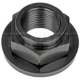 Purchase Top-Quality Spindle Nut by DORMAN/AUTOGRADE - 615-220 pa8