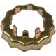 Purchase Top-Quality Spindle Nut Retainer by DORMAN/AUTOGRADE - 615-073.1 pa2