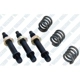 Purchase Top-Quality WALKER USA - 36463 - Spring And Bolt Kit pa2