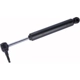 Purchase Top-Quality Stabilizer Cylinder by ACDELCO - 509-25 pa1