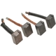 Purchase Top-Quality BLUE STREAK (HYGRADE MOTOR) - JX100 - Intermotor Starter Brush Set pa1