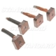 Purchase Top-Quality Starter Brush Or Brushes by BLUE STREAK (HYGRADE MOTOR) - JX125 pa5