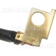 Purchase Top-Quality Starter Brush Or Brushes by BLUE STREAK (HYGRADE MOTOR) - RX138 pa6