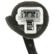 Purchase Top-Quality Starter Or Clutch Switch by BLUE STREAK (HYGRADE MOTOR) - NS584 pa1