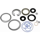 Purchase Top-Quality Steering Gear Seal Kit by GATES - 348492 pa2