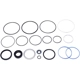Purchase Top-Quality SUNSONG NORTH AMERICA - 8401123 - Steering Gear Seal Kit pa1