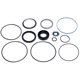 Purchase Top-Quality SUNSONG NORTH AMERICA - 8401125 - Steering Gear Seal Kit pa1