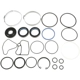 Purchase Top-Quality Steering Gear Seal Kit by SUNSONG NORTH AMERICA - 8401220 pa1