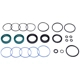 Purchase Top-Quality SUNSONG NORTH AMERICA - 8401310 - Rack and Pinion Seal Kit pa1